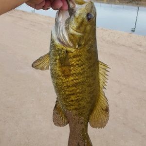 Meet your Posher, Marcos